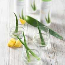 Načíst obrázek do prohlížeče Galerie, Herbalife Aloe Concentrate Mango (473ml) - The Herba Coach